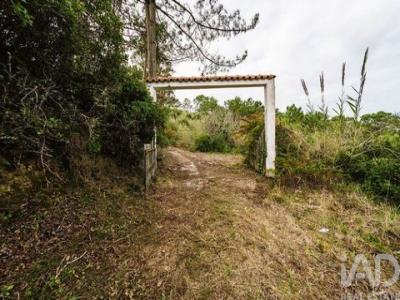 Acheter Terrain Caldas-da-rainha r�gion LEIRIA