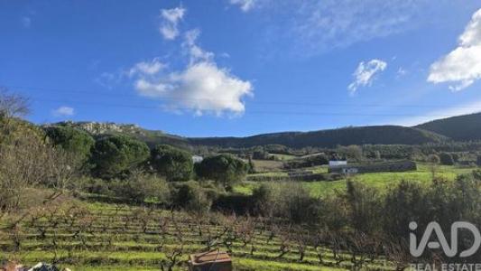 Annonce Vente Terrain Cadaval