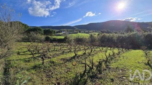 Acheter Terrain Cadaval r�gion LISBOA