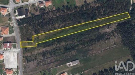 Acheter Terrain 4607 m2 Vagos