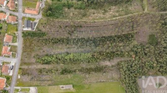 Acheter Terrain Vagos r�gion AVEIRO