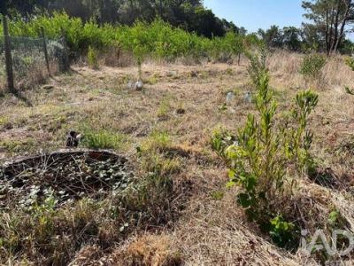 Acheter Terrain Esposende r�gion BRAGA