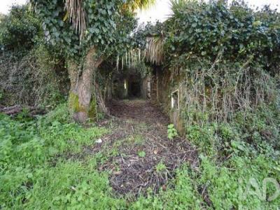 Acheter Maison 300 m2 Penela