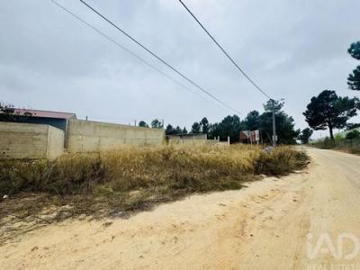 Annonce Vente Terrain Palmela