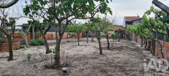 Annonce Vente 11 pi�ces Maison Vagos