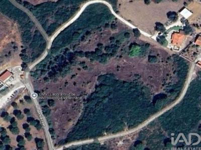 Annonce Vente Terrain Santarem