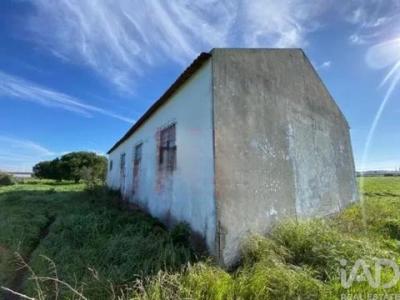 Annonce Vente Terrain Alcochete