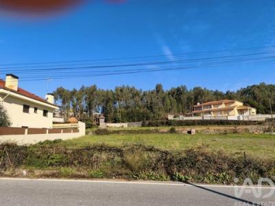 Annonce Vente Terrain Canedo