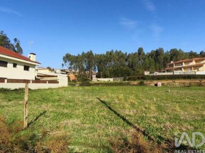 Acheter Terrain 2893 m2 Canedo