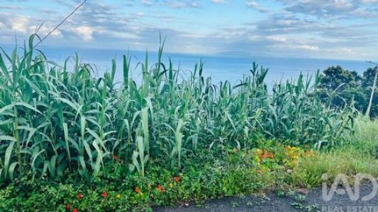 Acheter Terrain 537 m2 Santa-cruz