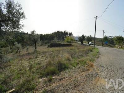 Acheter Terrain 3365 m2 Ansiao