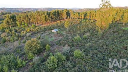 Annonce Vente Terrain Seia