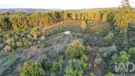 Acheter Terrain Seia r�gion GUARDA