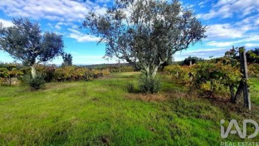 Vente Terrain Andorinha SEIXO-DA-BEIRA 06