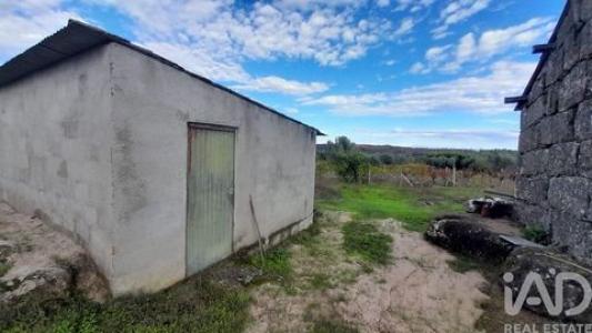 Annonce Vente Terrain Andorinha