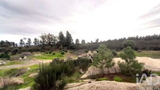 Acheter Terrain Andorinha r�gion COIMBRA