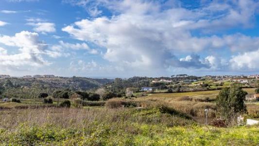 Annonce Vente Terrain Mafra