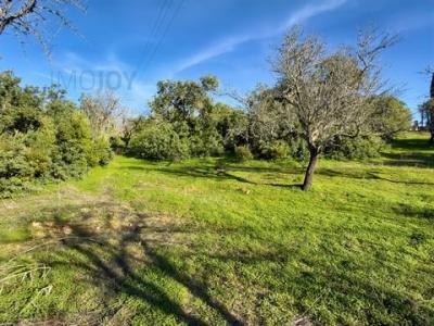 Acheter Terrain 12560 m2 Albufeira
