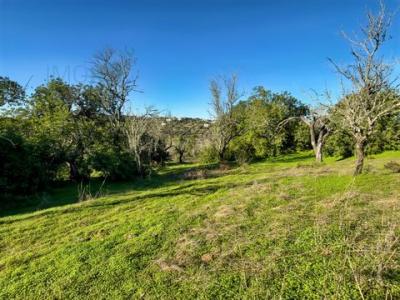 Acheter Terrain Albufeira r�gion FARO
