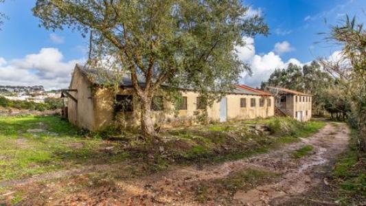 Annonce Vente Local industriel Mafra