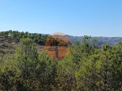 Acheter Terrain Alcoutim r�gion FARO