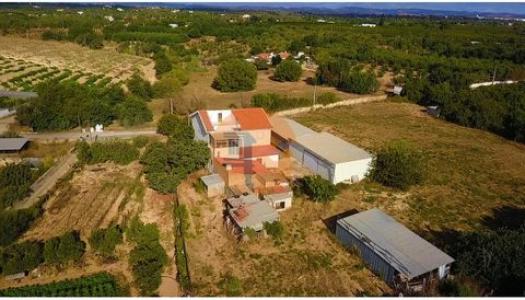 Annonce Vente Maison Tavira