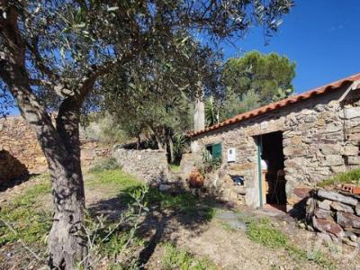 Annonce Location Local commercial Idanha-a-nova