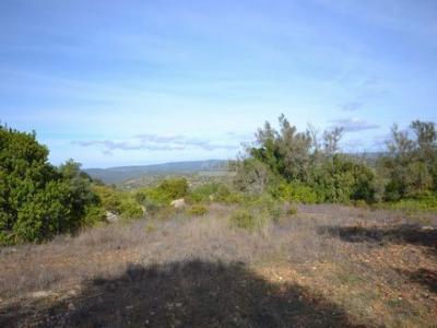 Annonce Vente Terrain Loule