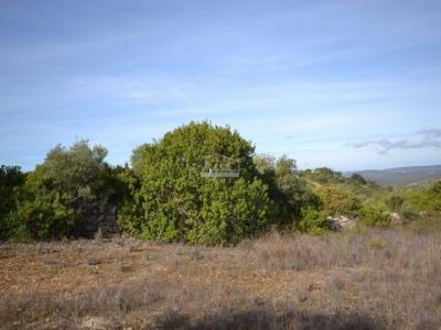 Acheter Terrain 7971 m2 Loule