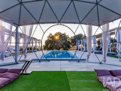 Acheter Local commercial 525 m2 Estremoz