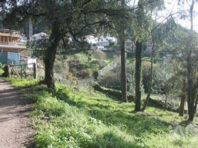 Acheter Terrain 3418 m2 Esposende