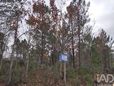 Annonce Vente Terrain Sabugal