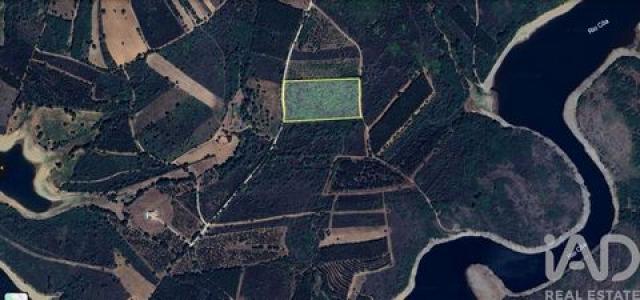 Acheter Terrain 30000 m2 Sabugal