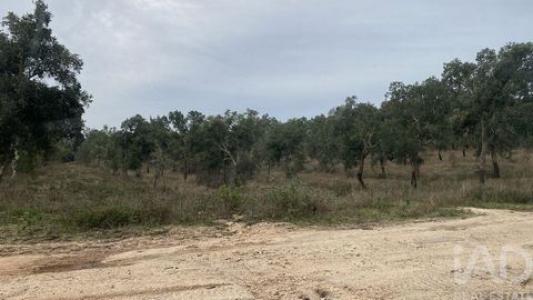 Acheter Maison 32767 m2 Ponte-de-sor