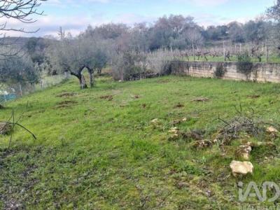Acheter Terrain 1040 m2 Ferreira-do-zezere