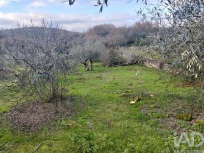 Acheter Terrain Ferreira-do-zezere r�gion SANTAREM