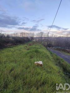 Annonce Vente Terrain Trofa