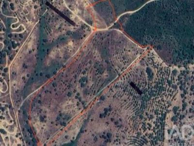 Annonce Vente Terrain Odemira