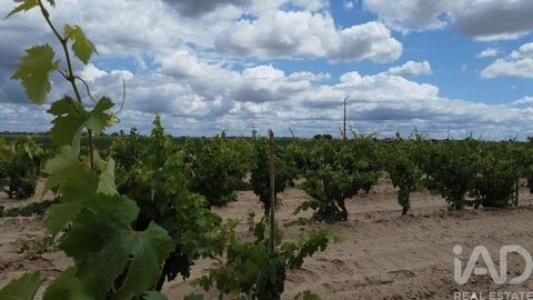 Vente Terrain Almeirim  14 au Portugal