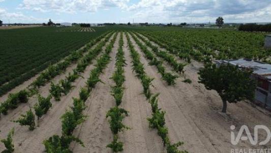 Acheter Terrain Almeirim r�gion SANTAREM