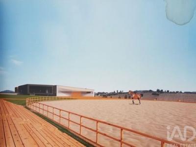 Acheter Local commercial 32767 m2 Mogadouro