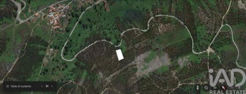 Annonce Vente Terrain Figueiro-dos-vinhos