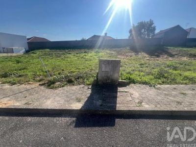 Annonce Vente Terrain Cadaval