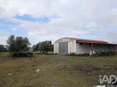 Vente Local commercial Sousel  12