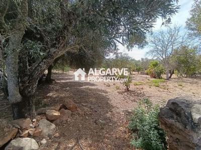 Annonce Vente Terrain Loule