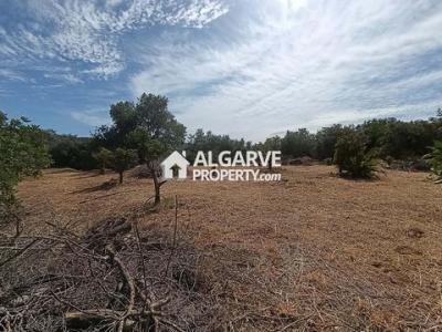 Acheter Terrain 4449 m2 Loule