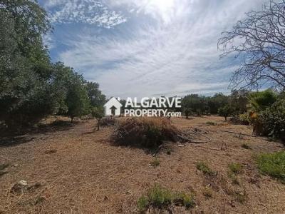 Acheter Terrain Loule r�gion FARO