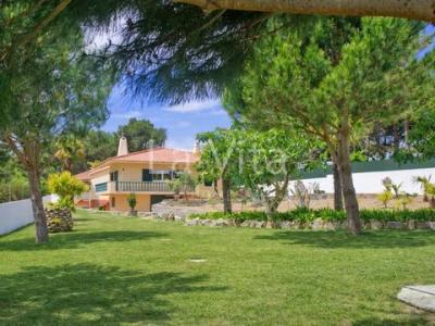 Acheter Maison 224 m2 Cascais