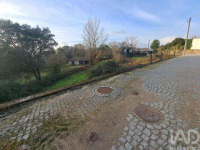 Acheter Terrain 12000 m2 Braga
