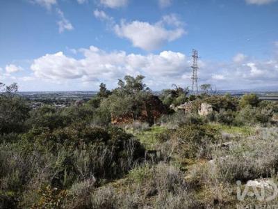 Acheter Terrain 8320 m2 Silves